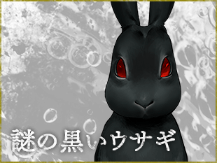 謎の黒いウサギ