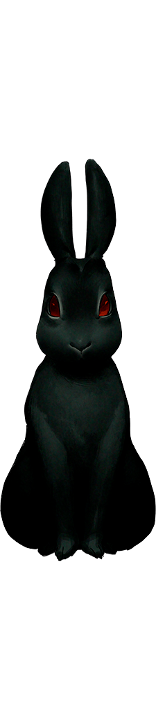 謎の黒いウサギ